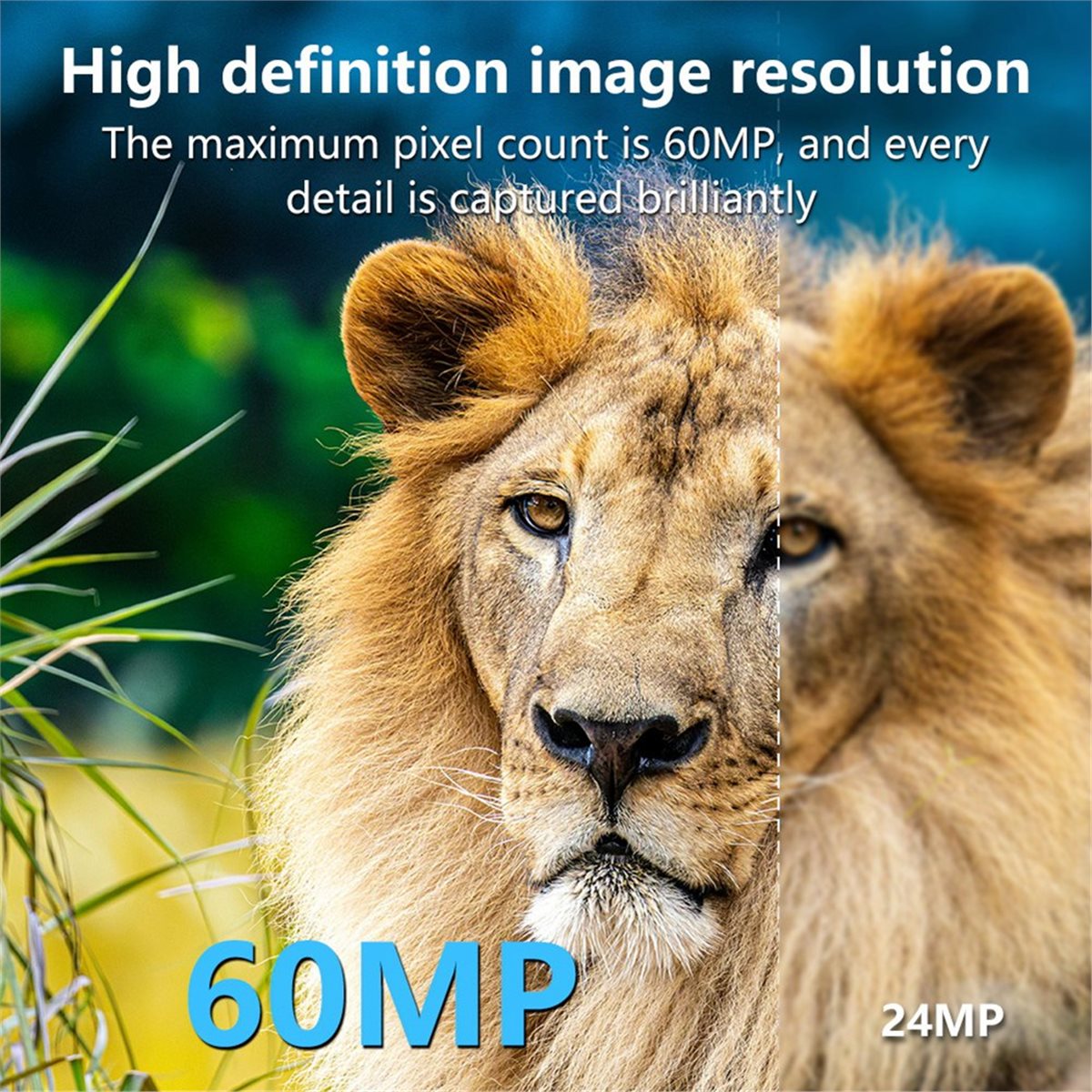 Outdoor Hunting Camera Wifi - Câmera de Caça AS62 8K HD