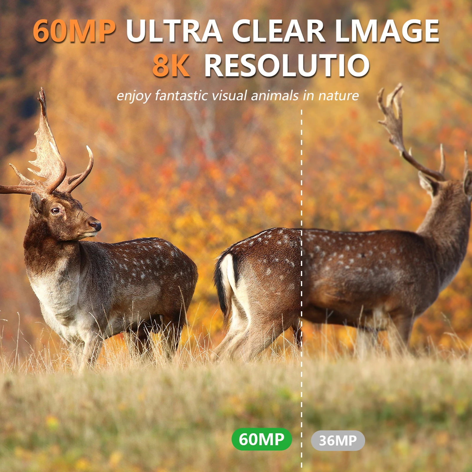 Câmera de Caça Solar 8K 60MP W - Outdoor Hunting Camera Wifi avaliação e preço